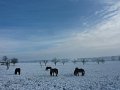 Winter1011 (39)